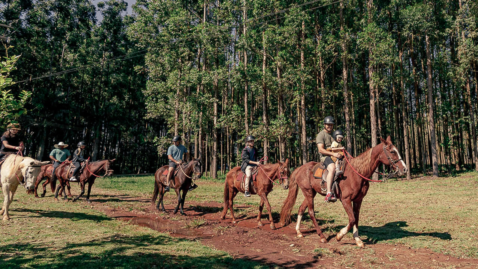 Passeio a Cavalo no Santa Eliza Eco Resort