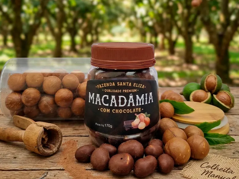Macadâmia Santa Eliza